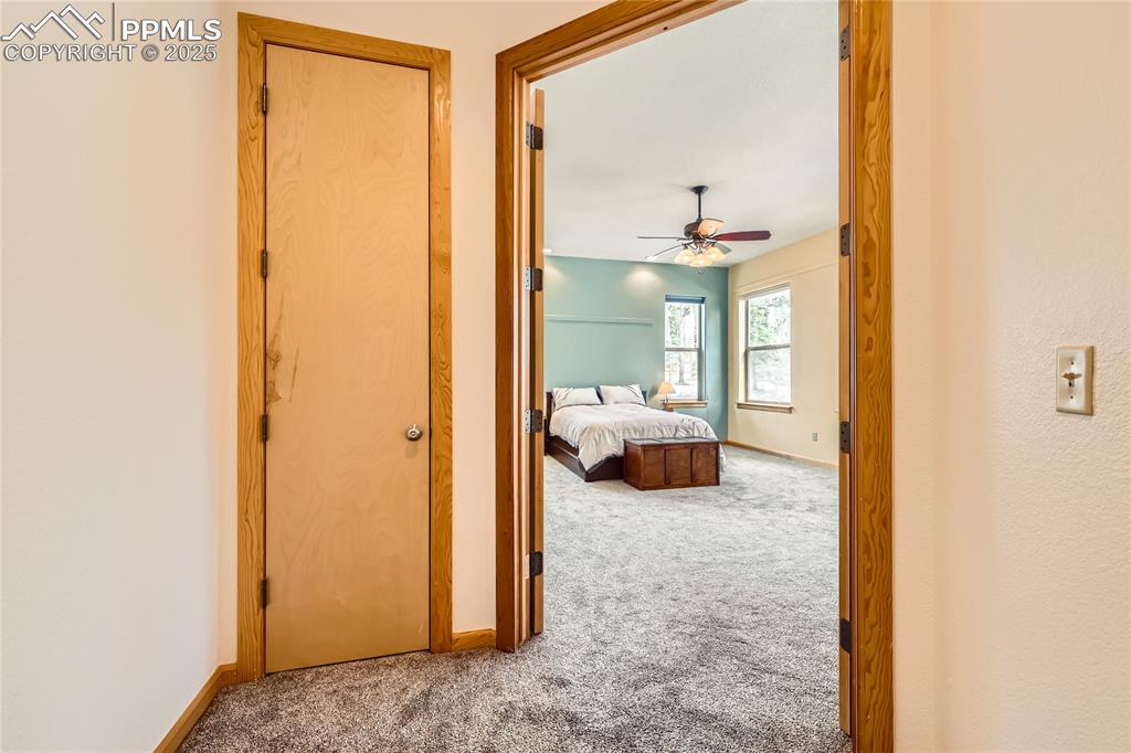 Image 24 of 50: Bedroom featuring carpet, baseboards, and ceiling fan