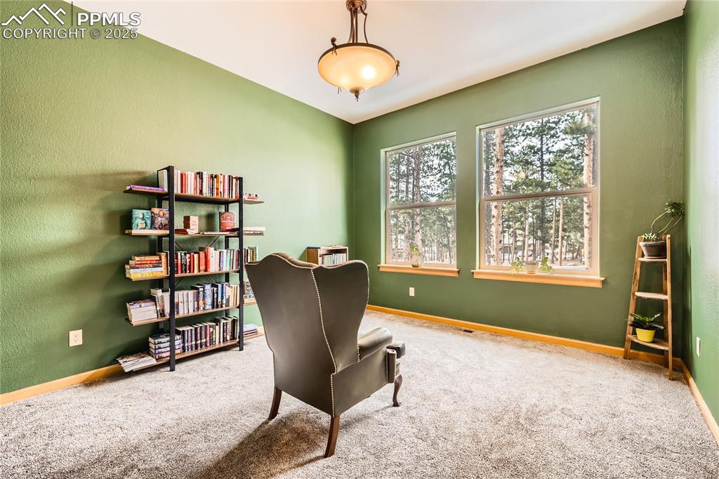 Image 25 of 50: Carpeted office with baseboards