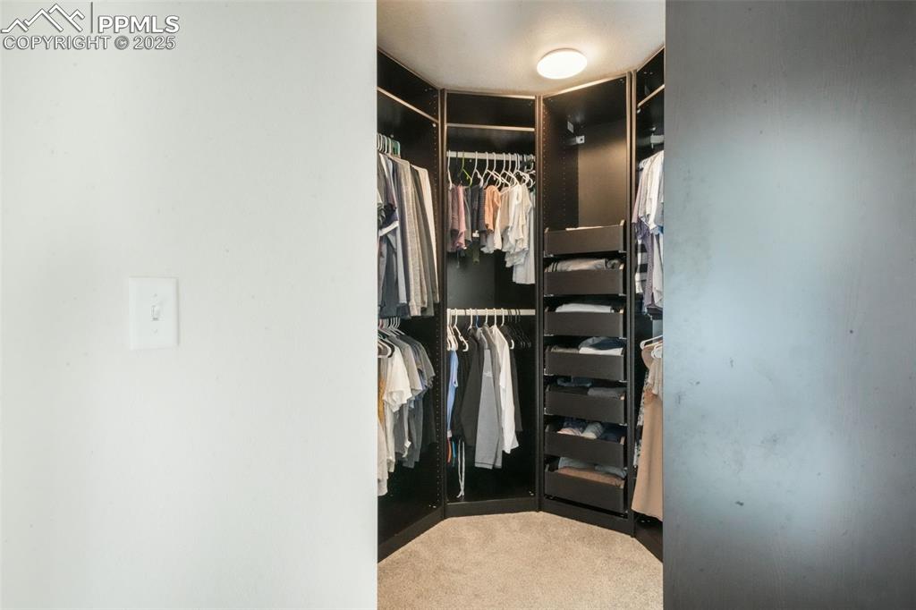 Image 31 of 50: Spacious closet featuring carpet floors