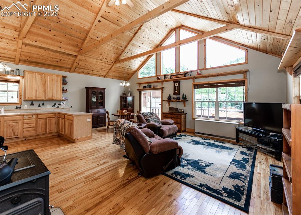 Image 15 of 50: Living Room