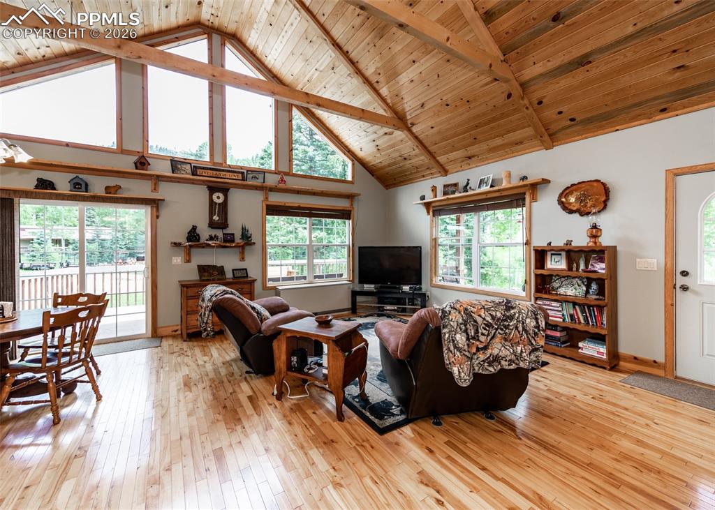 Image 16 of 50: Living Room