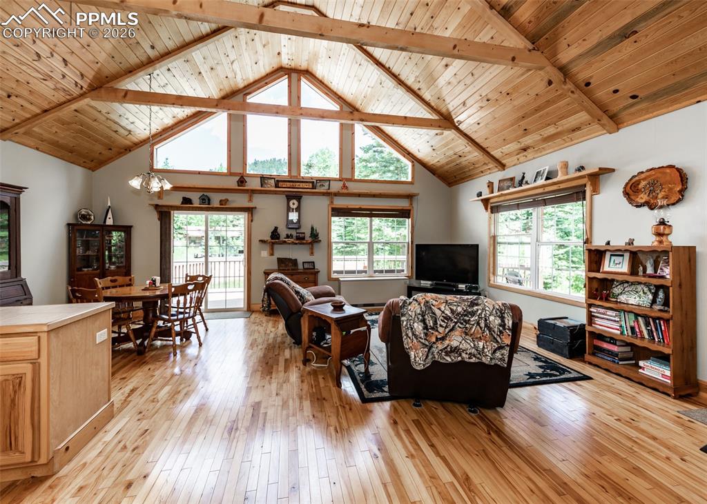 Image 19 of 50: Living Room