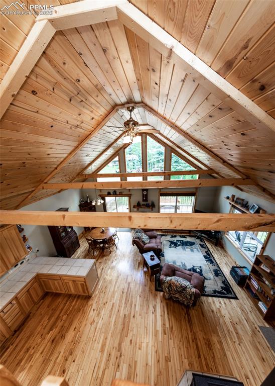 Image 29 of 50: Other