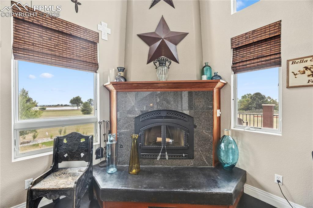 Image 7 of 40: Detailed view of a textured wall and a fireplace