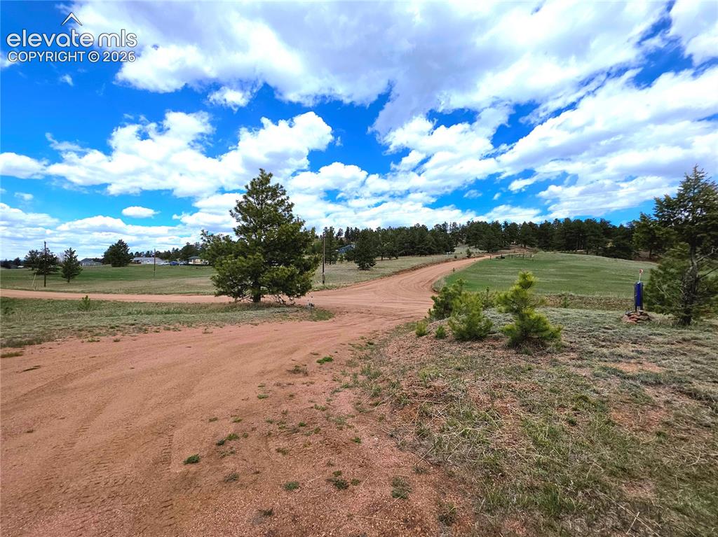 Image 49 of 50: Ample level parking with super easy driveway!