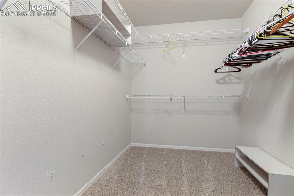 Image 31 of 42: Walk in closet with light carpet