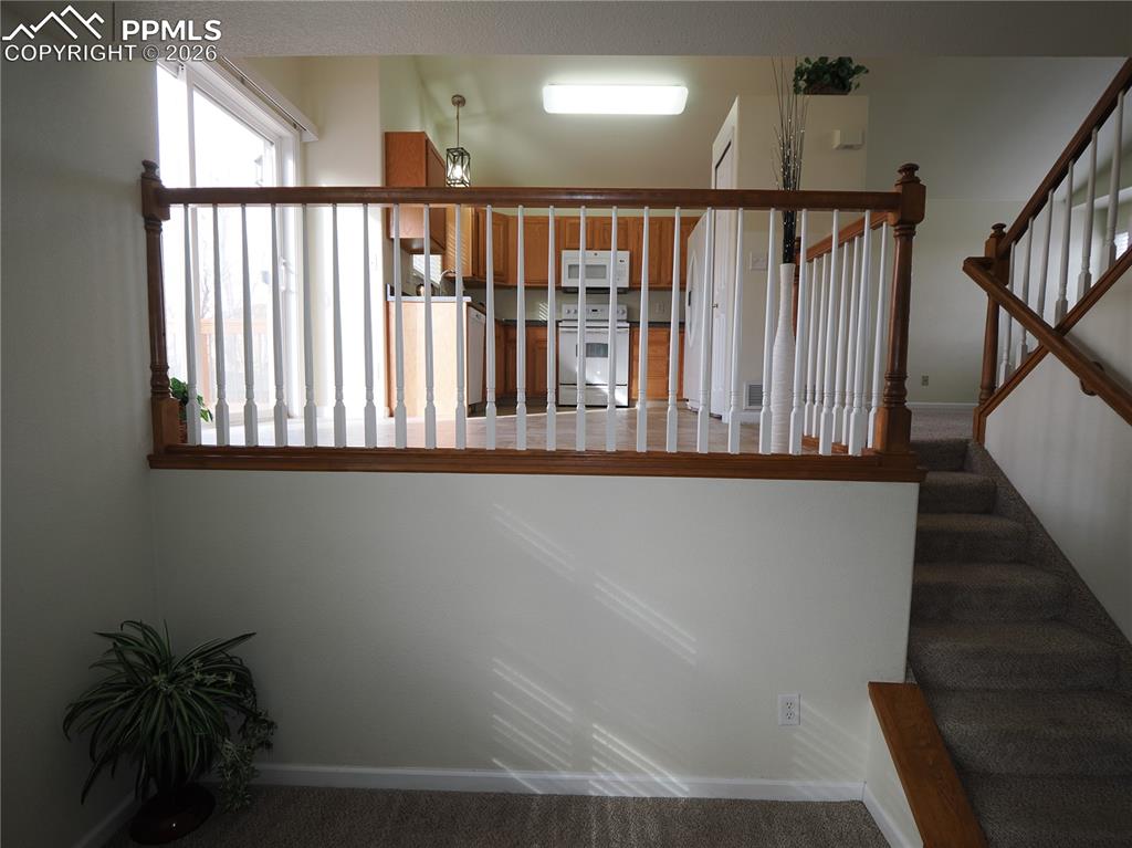 Image 16 of 34: Other