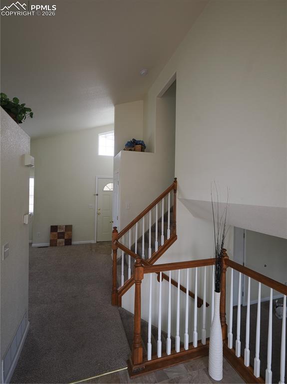 Image 17 of 34: Other