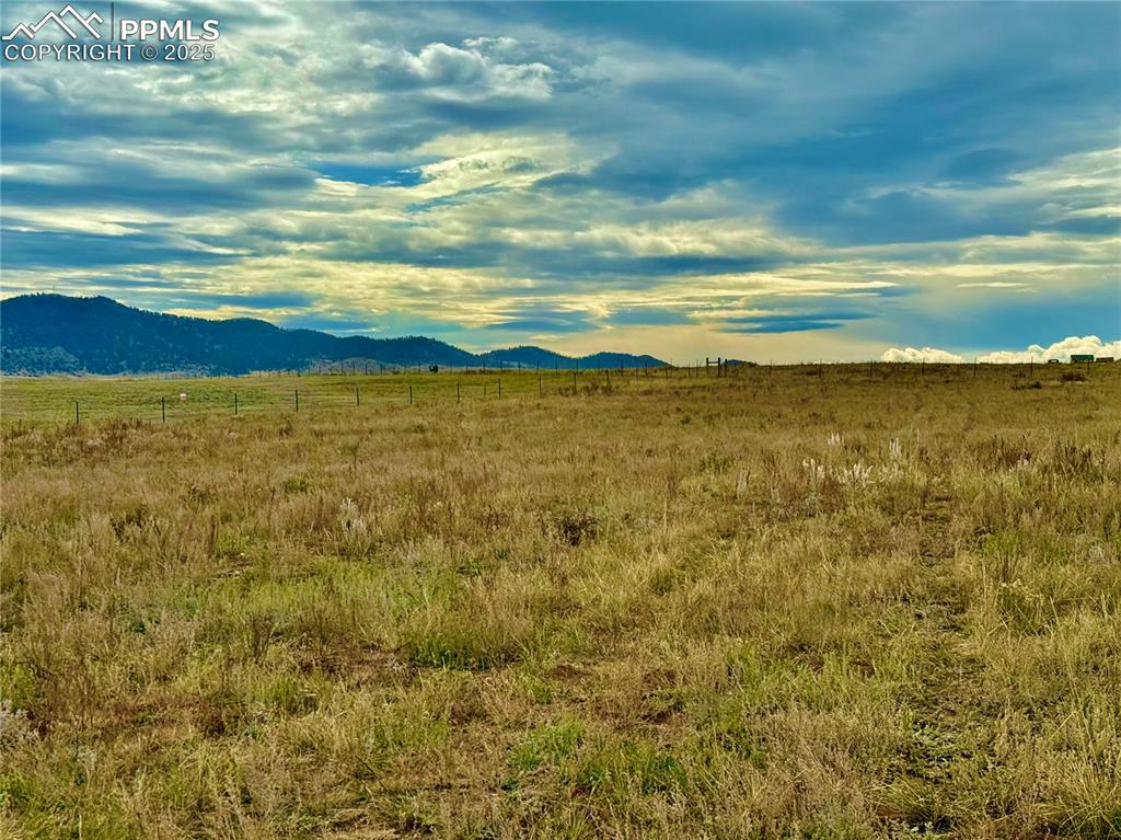 Image 10 of 13: View