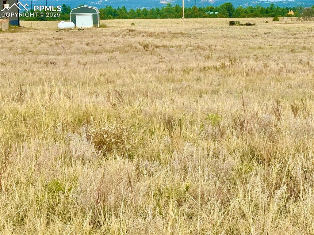 Image 2 of 13: Other