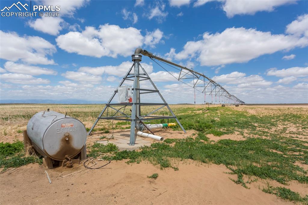 Image 16 of 30: Other