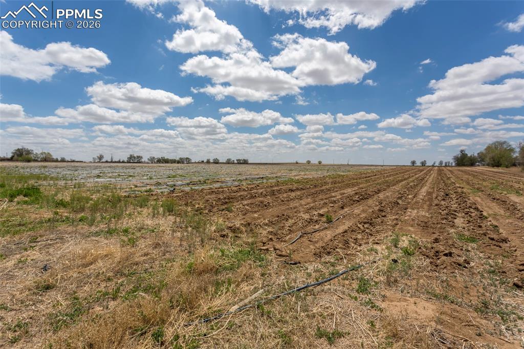 Image 23 of 30: Yard