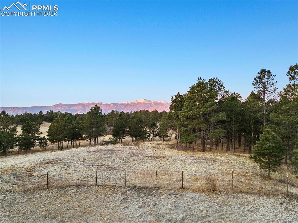 Image 50 of 50: View