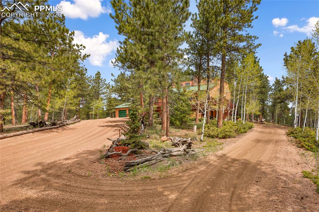 Image 36 of 39: View of dirt / gravel driveway featuring view of wooded area!