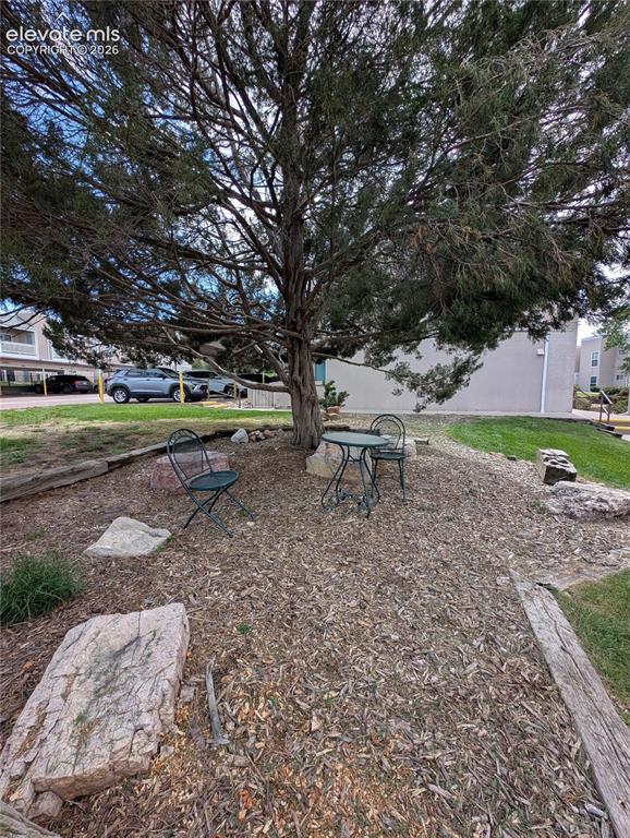 Image 38 of 38: Yard