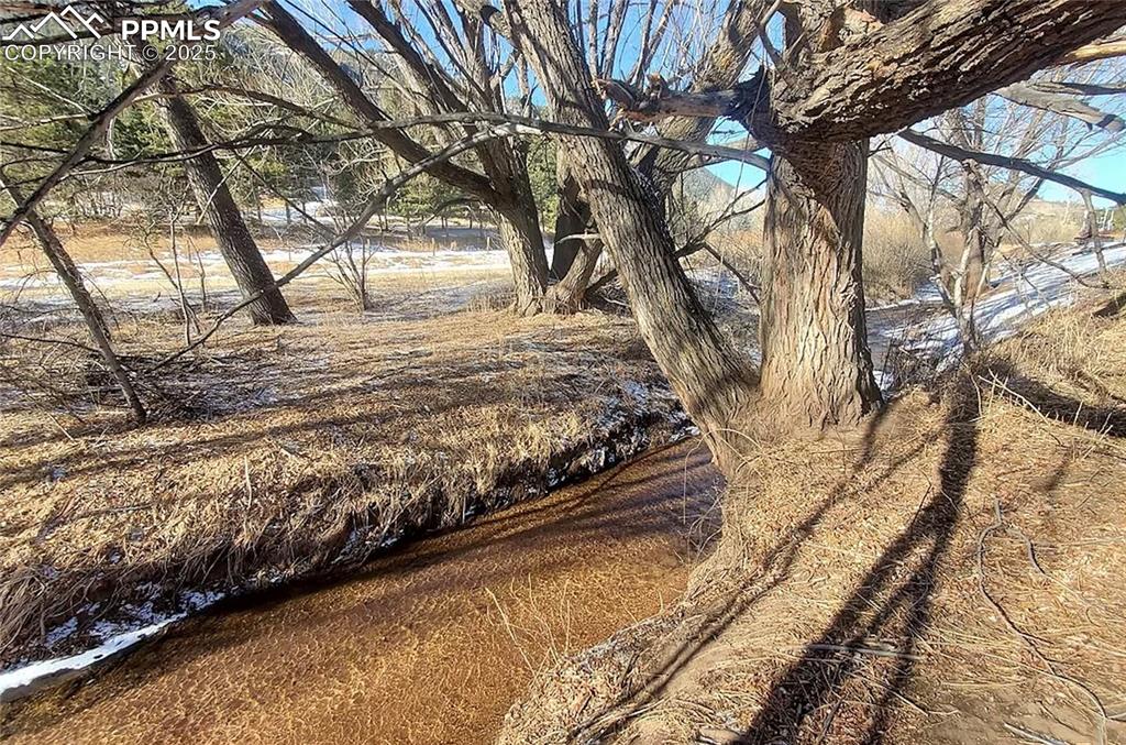Image 7 of 17: Water from a small stream helps the growth of several trees