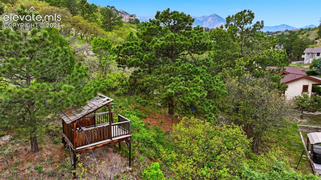 Image 43 of 49: fun play structure on the hill behind the home on the property