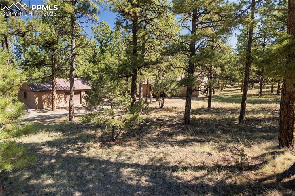 Image 34 of 47: Yard