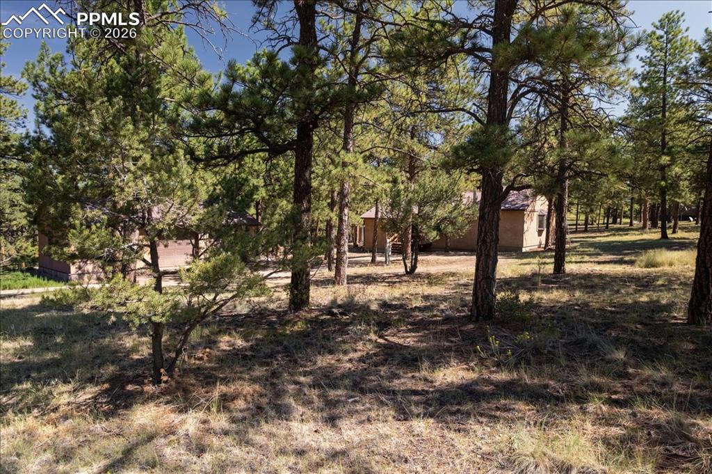 Image 35 of 47: Yard