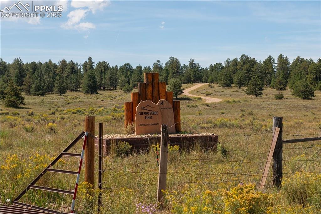 Image 45 of 47: Yard