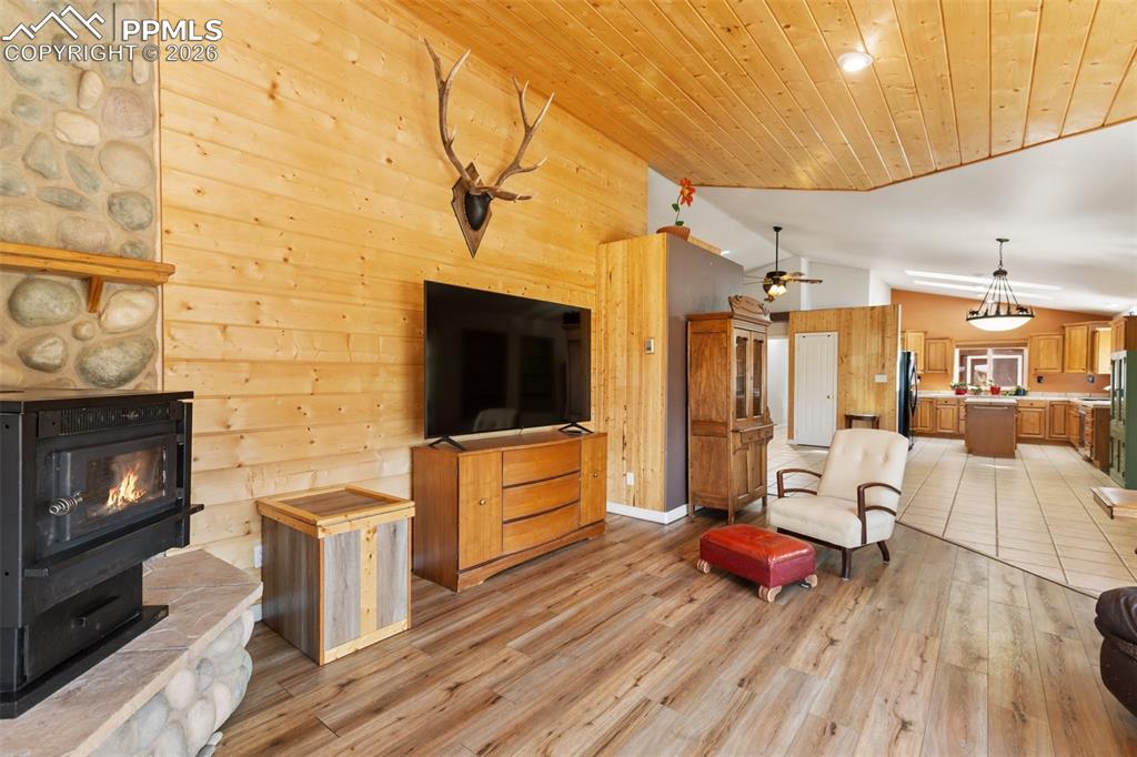 Image 15 of 50: Ariel