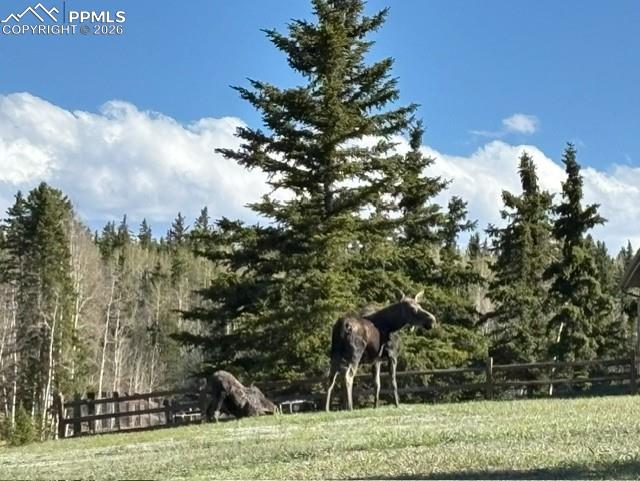 Image 44 of 50: Dining and kitchen in basement