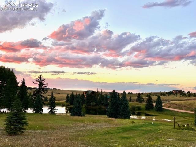 Image 45 of 50: kitchen in basement
