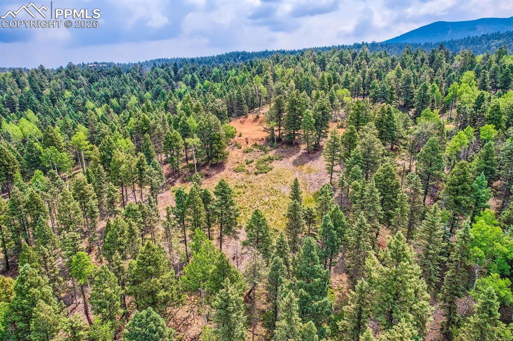 Image 12 of 14: Aerial View