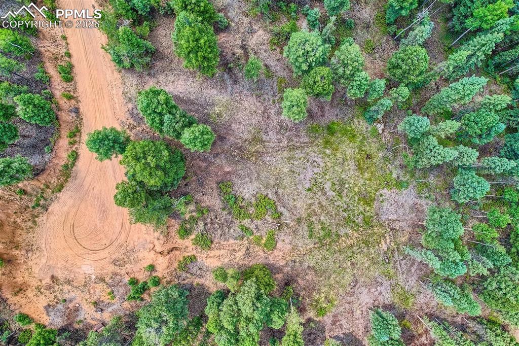 Image 14 of 14: Aerial View
