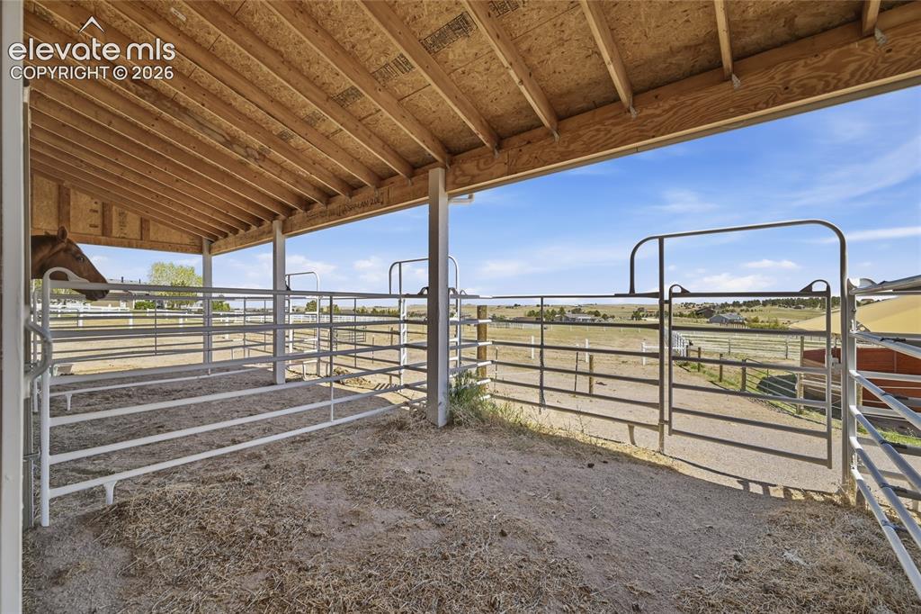 Image 6 of 43: Covered stall run