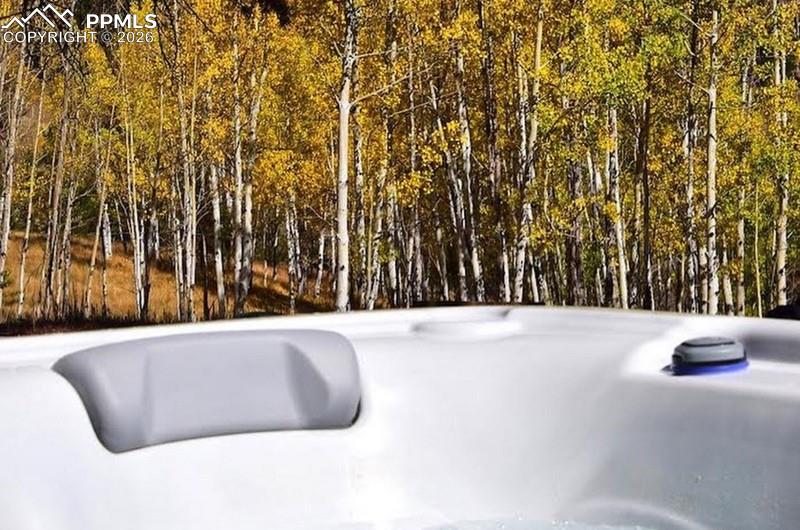 Image 24 of 32: Other