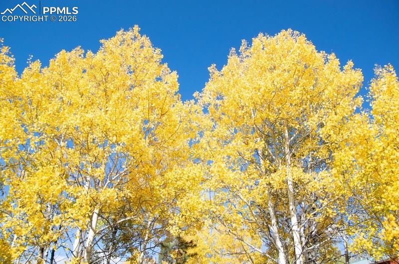 Image 26 of 32: View of undeveloped land
