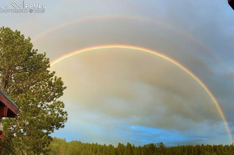 Image 28 of 32: Water view with a forest