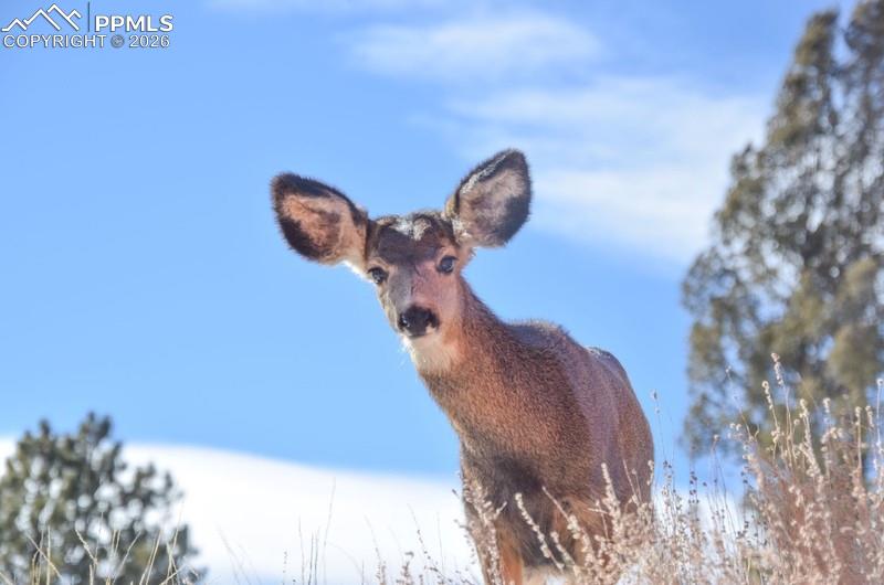 Image 30 of 32: Exterior view