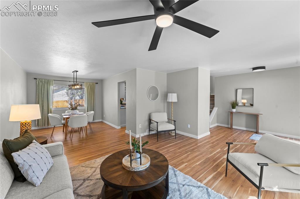 Image 16 of 50: Expansive open-concept living area bathed in natural light, featuring conte