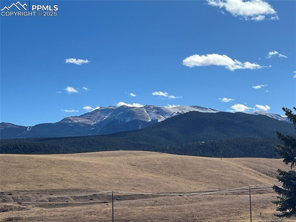 Image 25 of 35: View