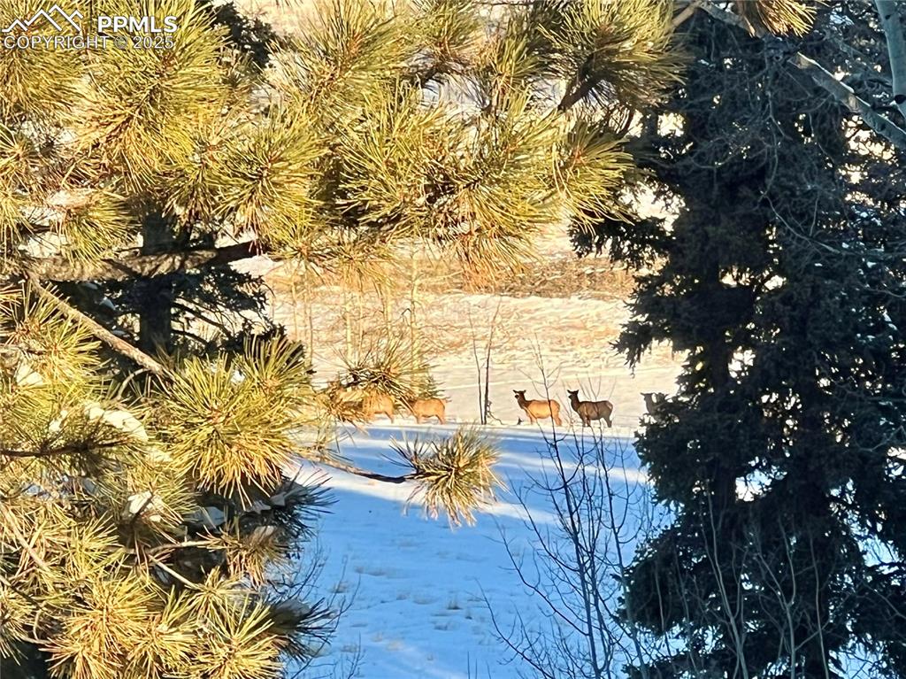 Image 26 of 35: Aerial View