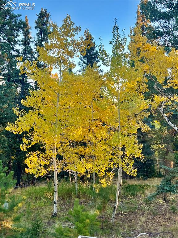 Image 29 of 35: Other