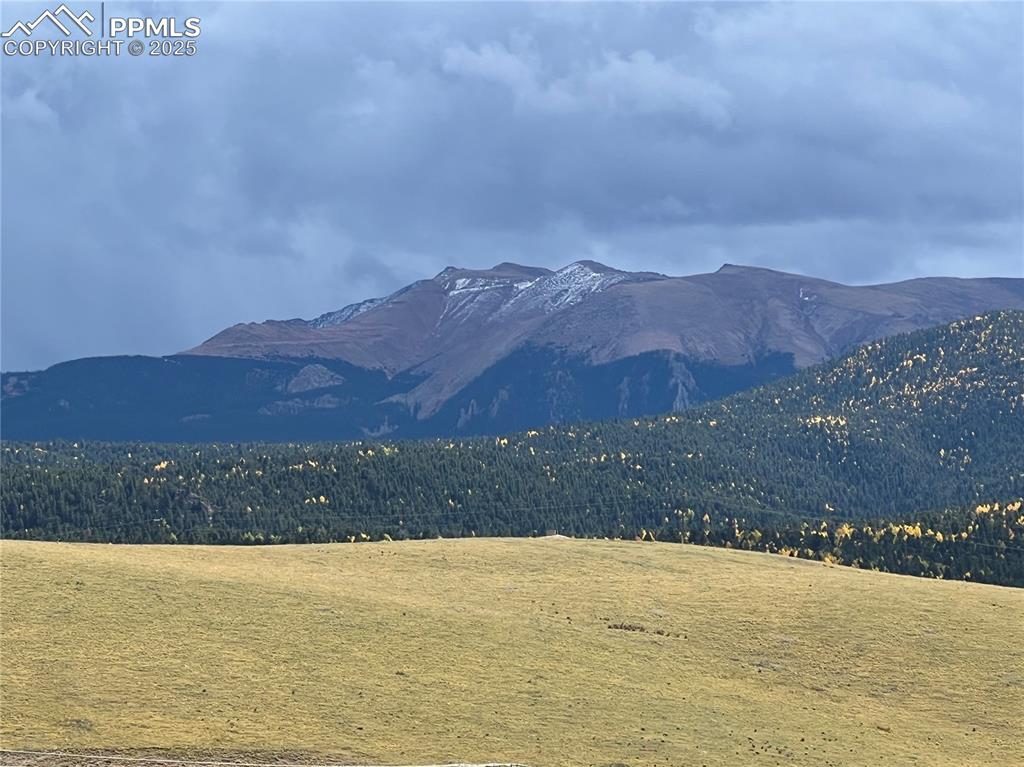 Image 30 of 35: View