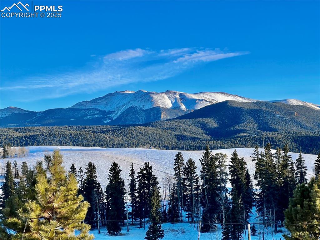 Image 31 of 35: View