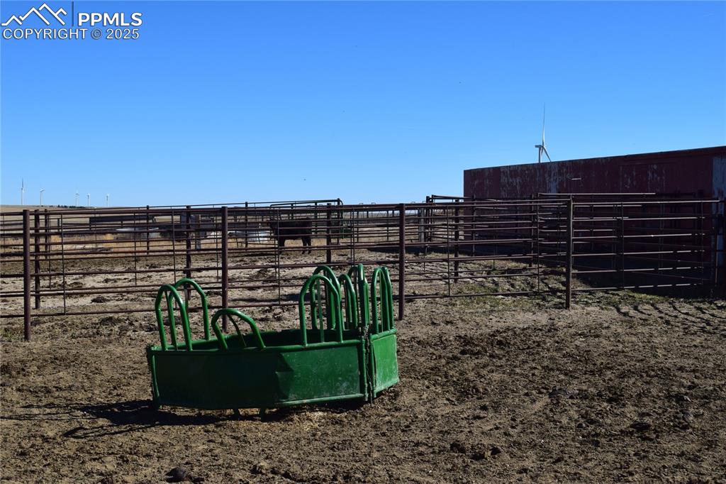 Image 15 of 19: Working Corrals