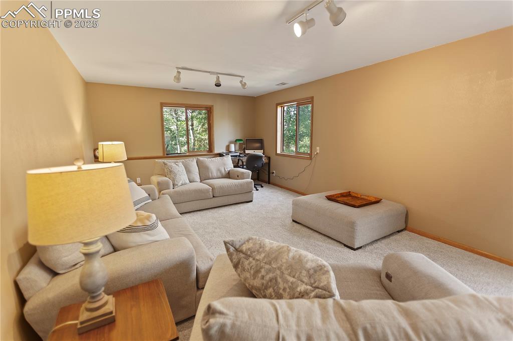 Image 20 of 31: Lower Level Family Room
