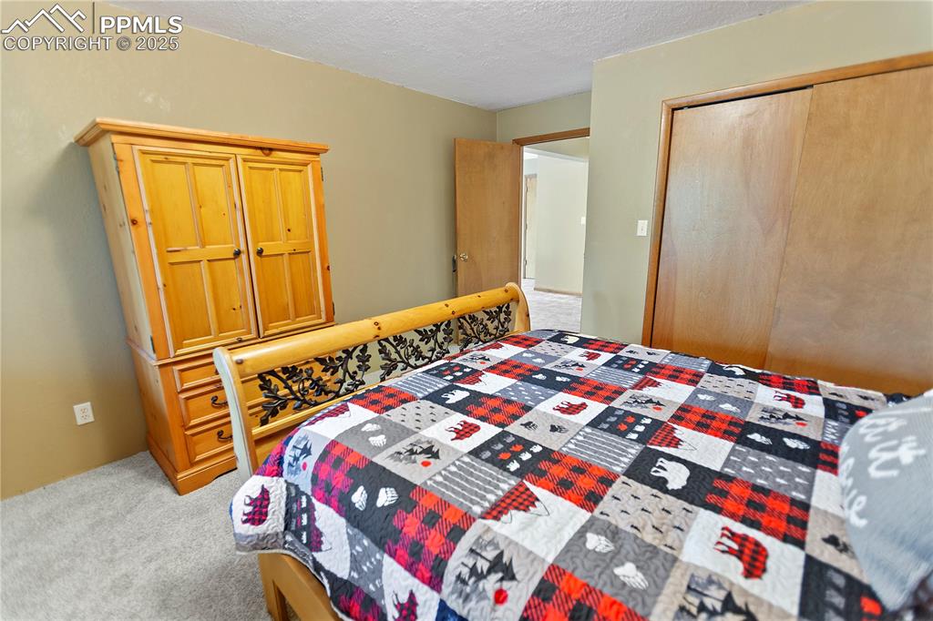 Image 25 of 31: Lower Level Bedroom 3