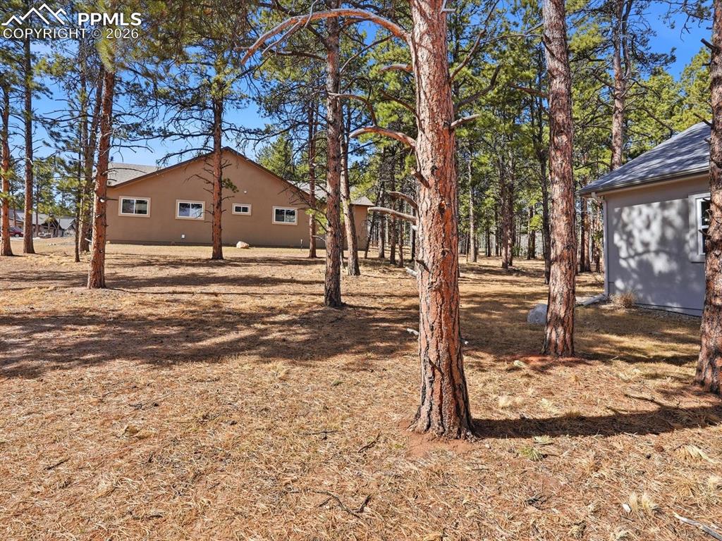 Image 42 of 47: Yard