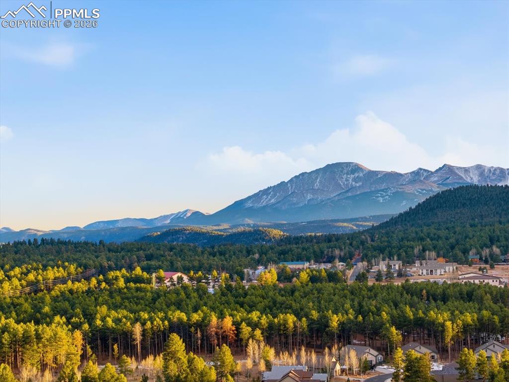 Image 46 of 47: Aerial View