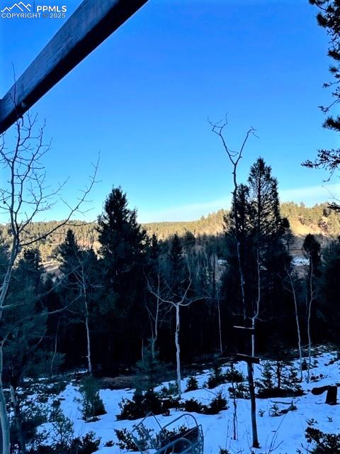 Image 11 of 21: Yard covered in snow featuring a forest view