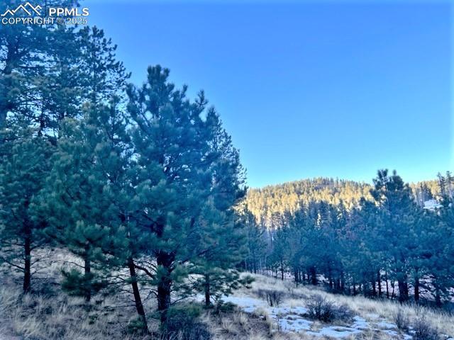 Image 3 of 21: View of mountain background featuring a heavily wooded area