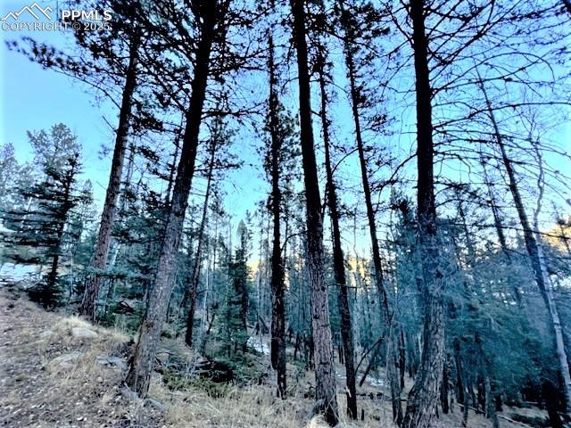 Image 4 of 21: View of nature
