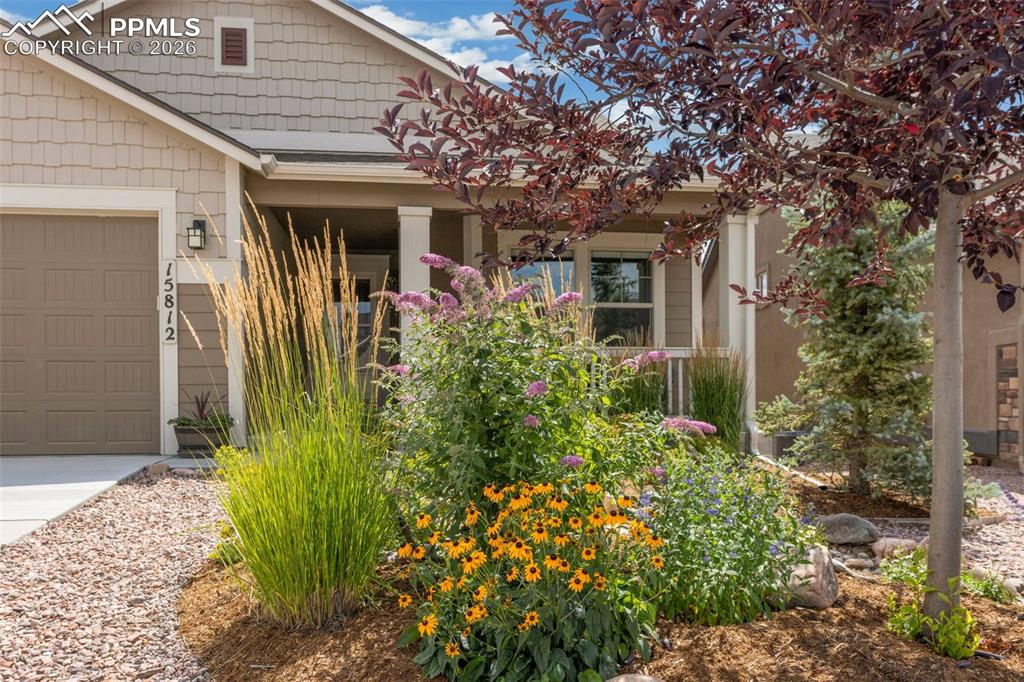 Image 40 of 48: Yard