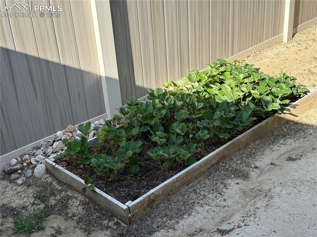 Image 40 of 42: Other